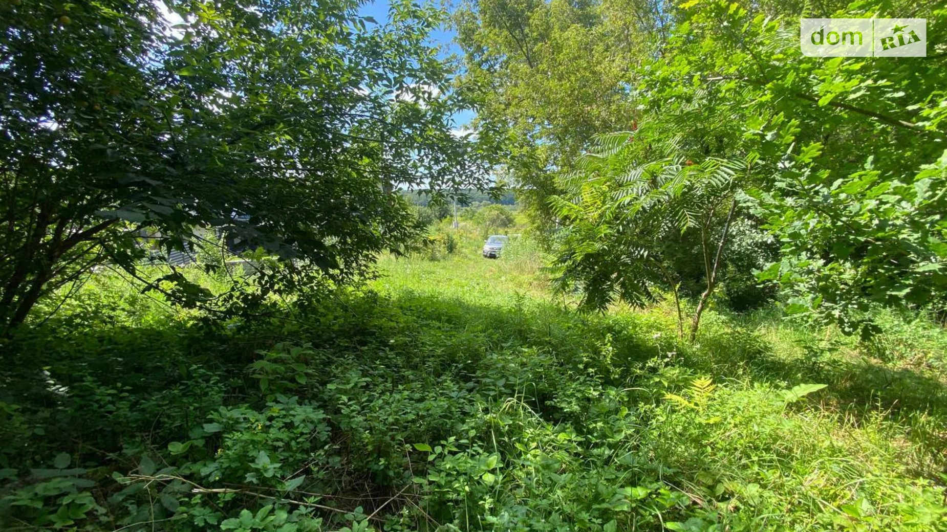 Продается земельный участок 18 соток в Тернопольской области, цена: 110000 $ - фото 4