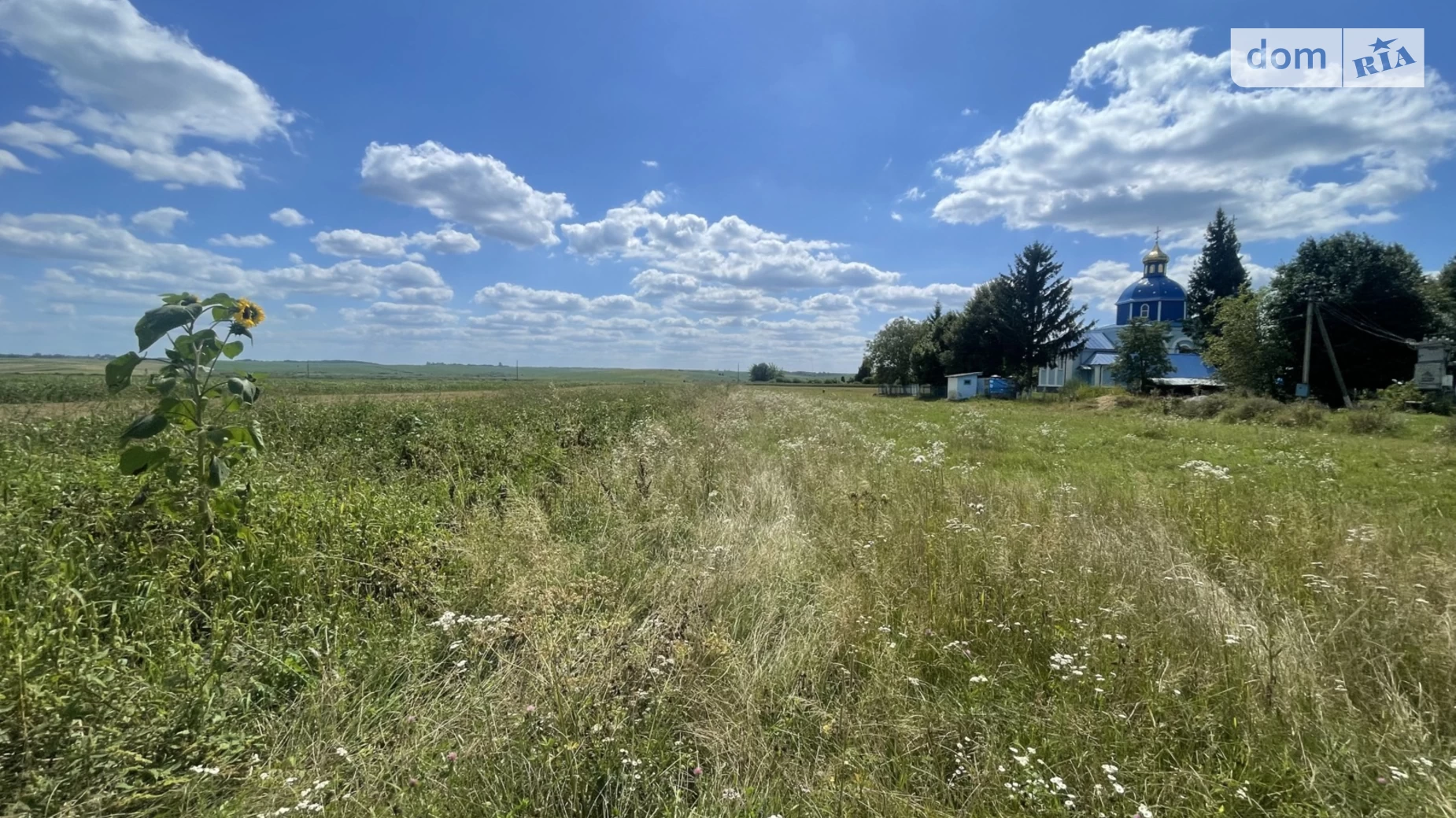 Продается земельный участок 25 соток в Ровенской области, цена: 5600 $ - фото 3