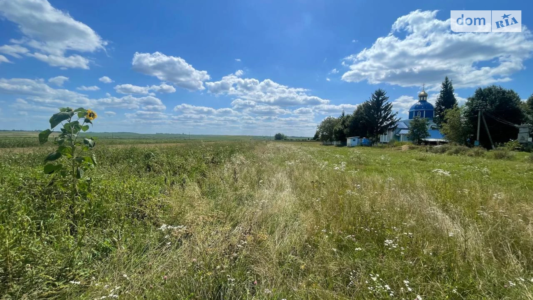 Новая Украинка, цена: 6500 $ - фото 5