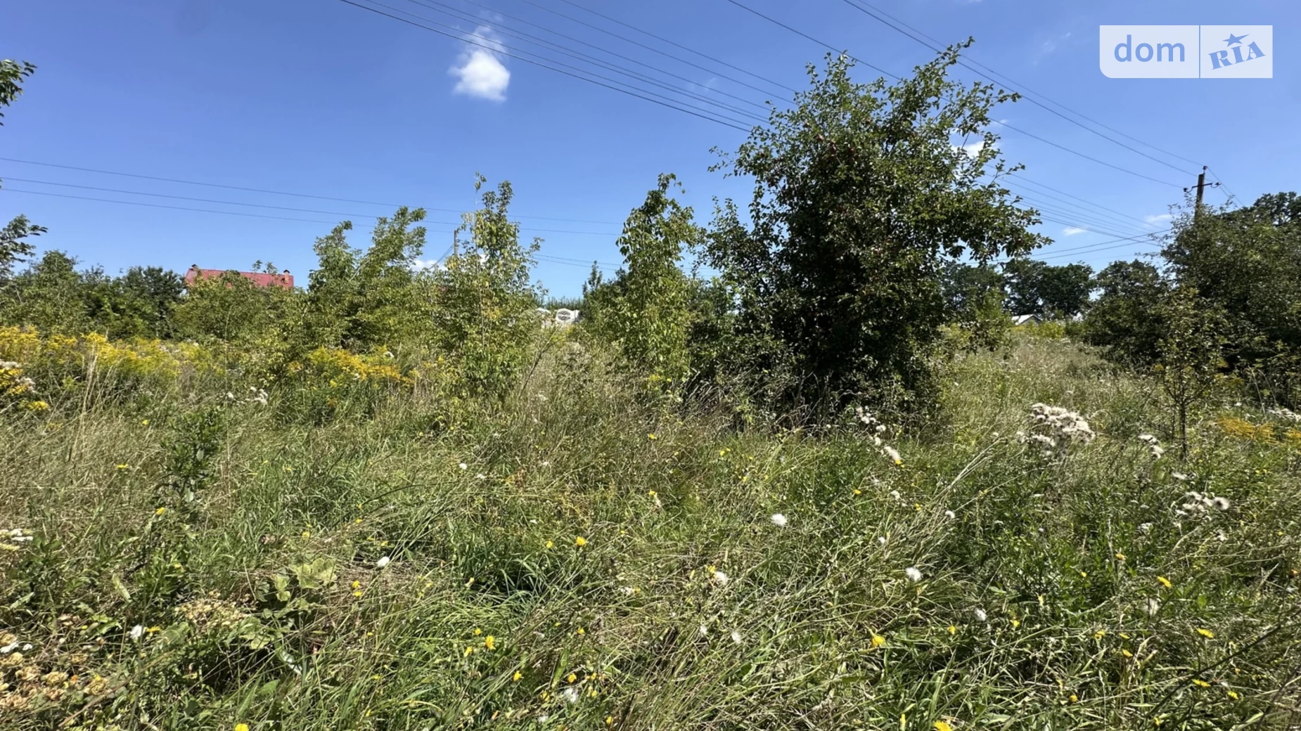 Продается земельный участок 10 соток в Винницкой области, цена: 12000 $ - фото 3