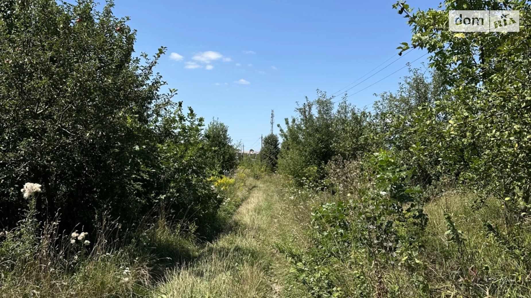 Продается земельный участок 10 соток в Винницкой области, цена: 12000 $ - фото 2