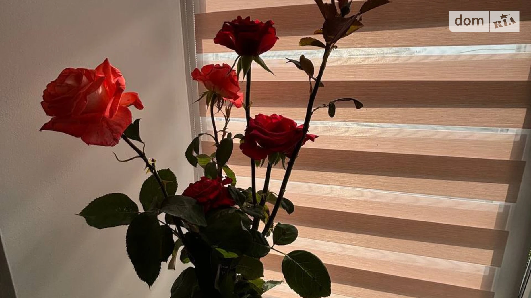 Продается 1-комнатная квартира 29.1 кв. м в Виннице, ул. Васильковая - фото 3