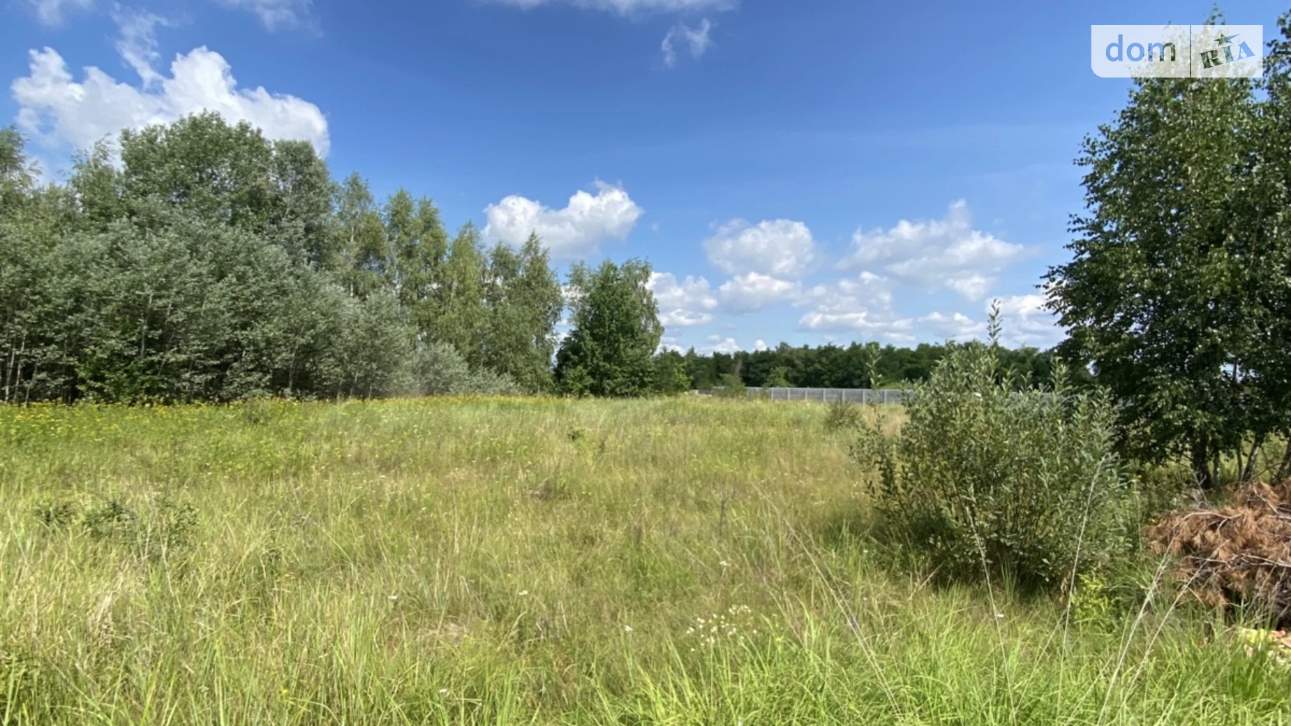 вулиця Лугова Бабинцы, цена: 12500 $ - фото 3