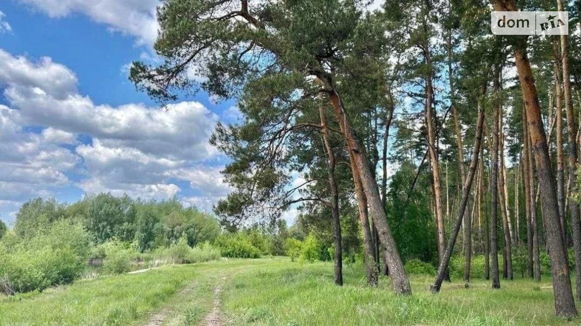 Мотижин, цена: 60000 $ - фото 3