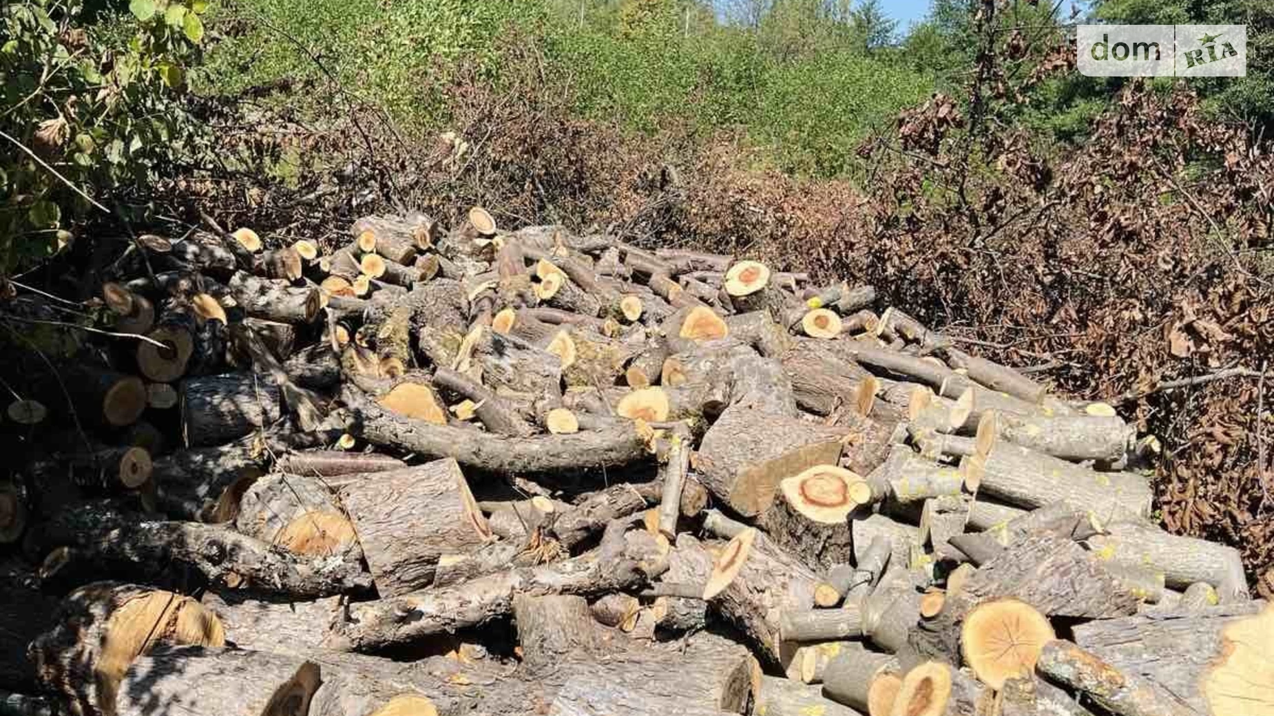 масив Оріховиця Ореховица, цена: 8000 $ - фото 3