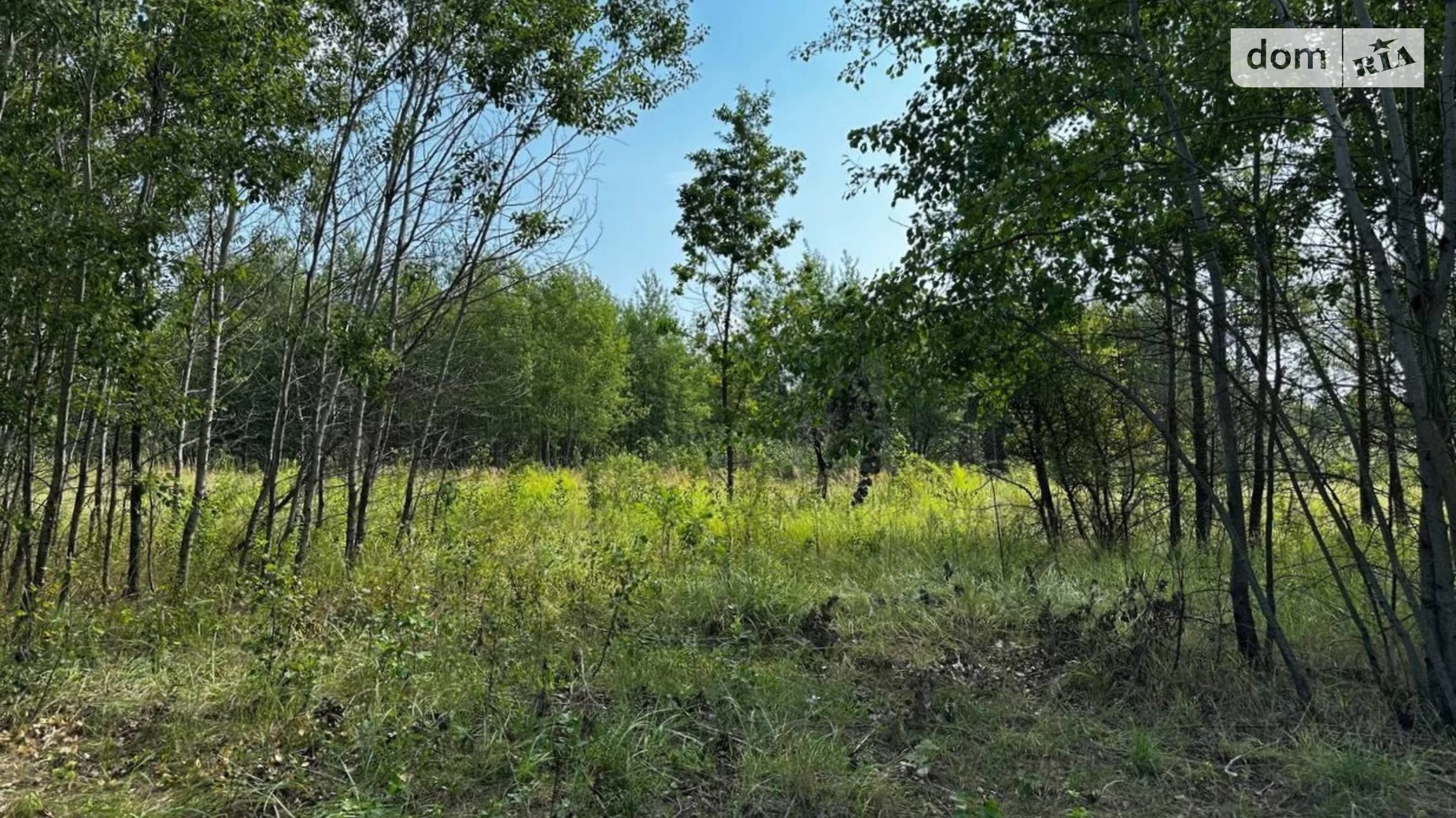 Михайловка-Рубежовка (Ирпень), цена: 7000 $ - фото 2