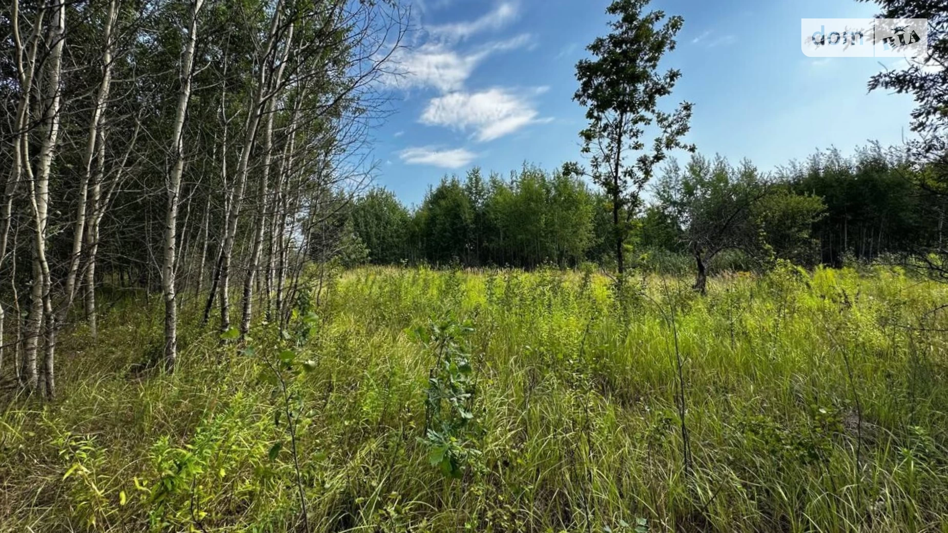 Михайловка-Рубежовка (Ирпень), цена: 7000 $ - фото 4