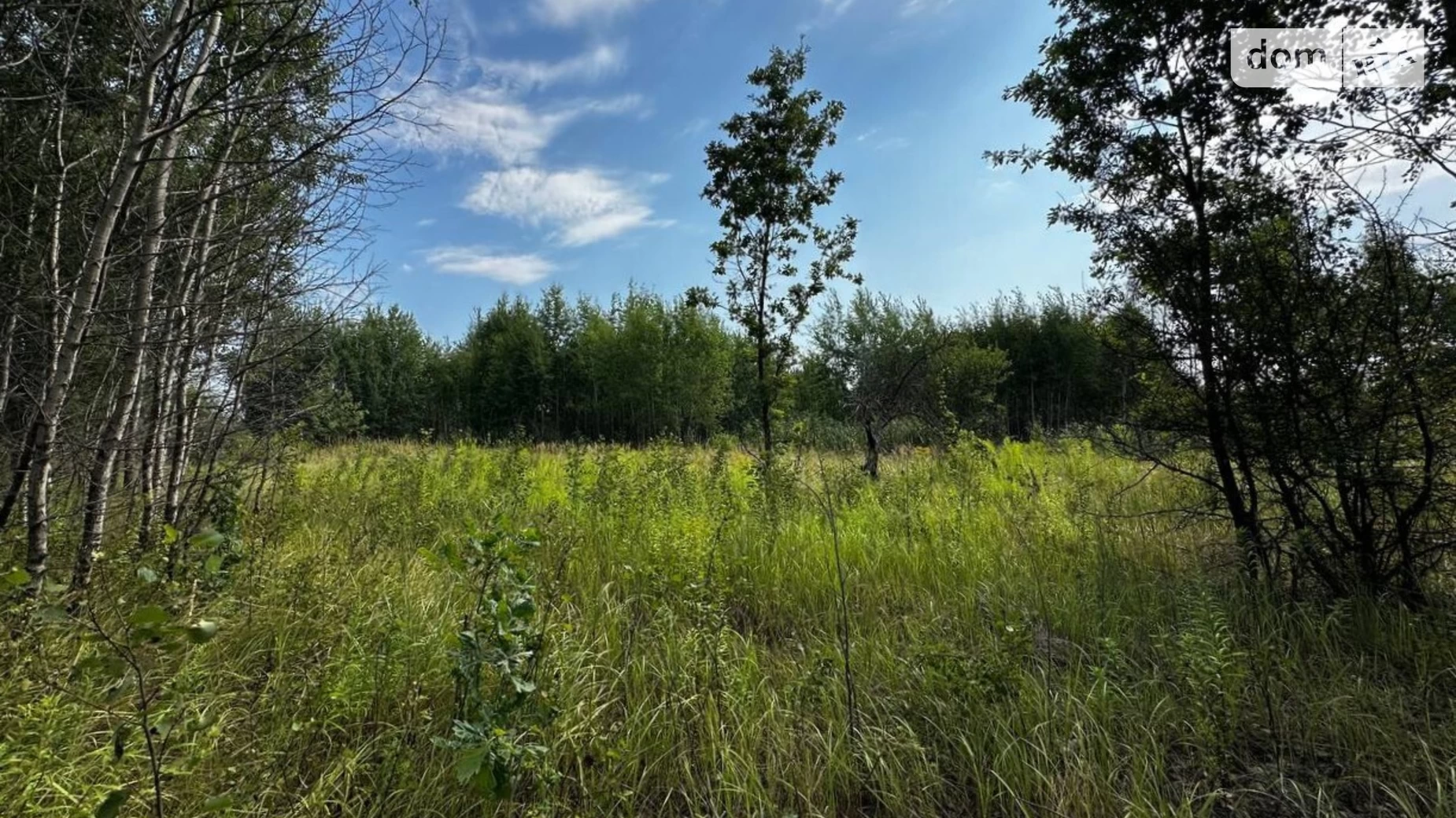 Михайловка-Рубежовка (Ирпень), цена: 7000 $ - фото 3