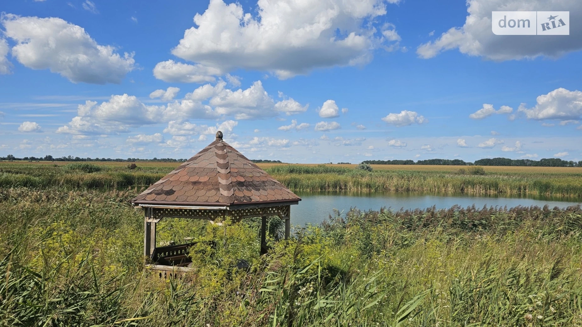 Продается земельный участок 50 соток в Черкасской области, цена: 199000 $ - фото 4