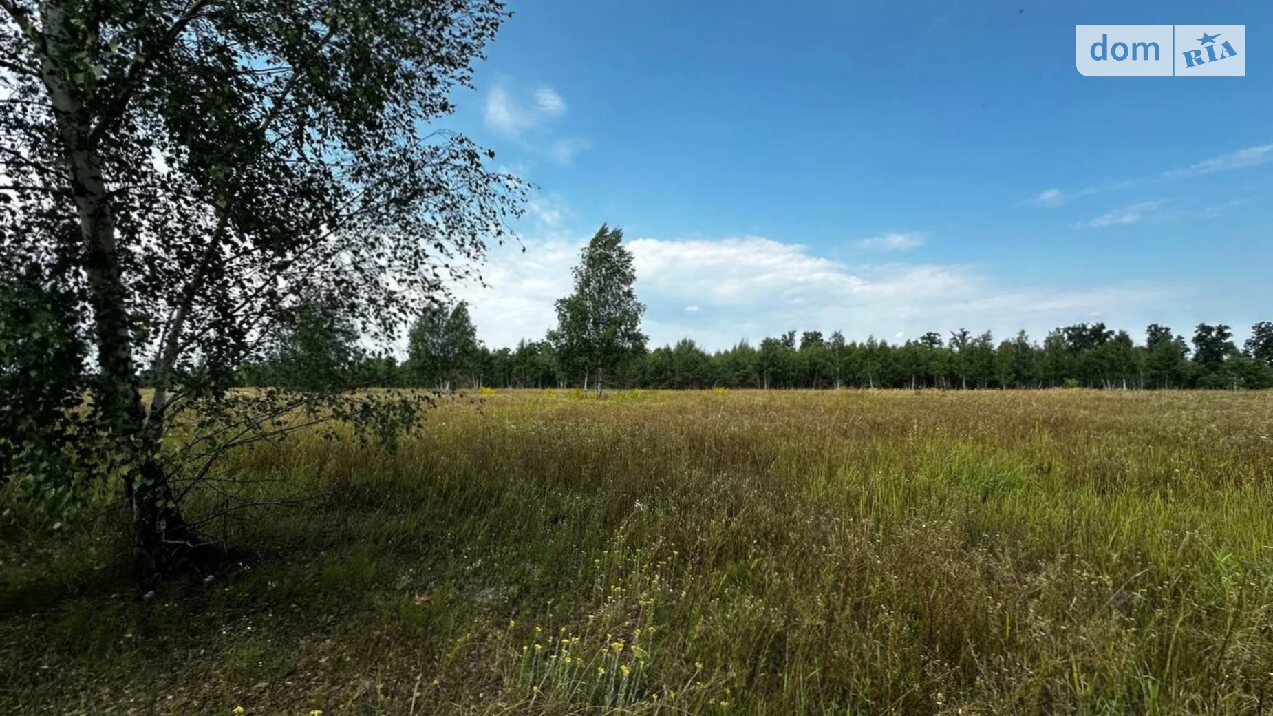 Михайловка-Рубежовка (Ирпень), цена: 25000 $ - фото 4