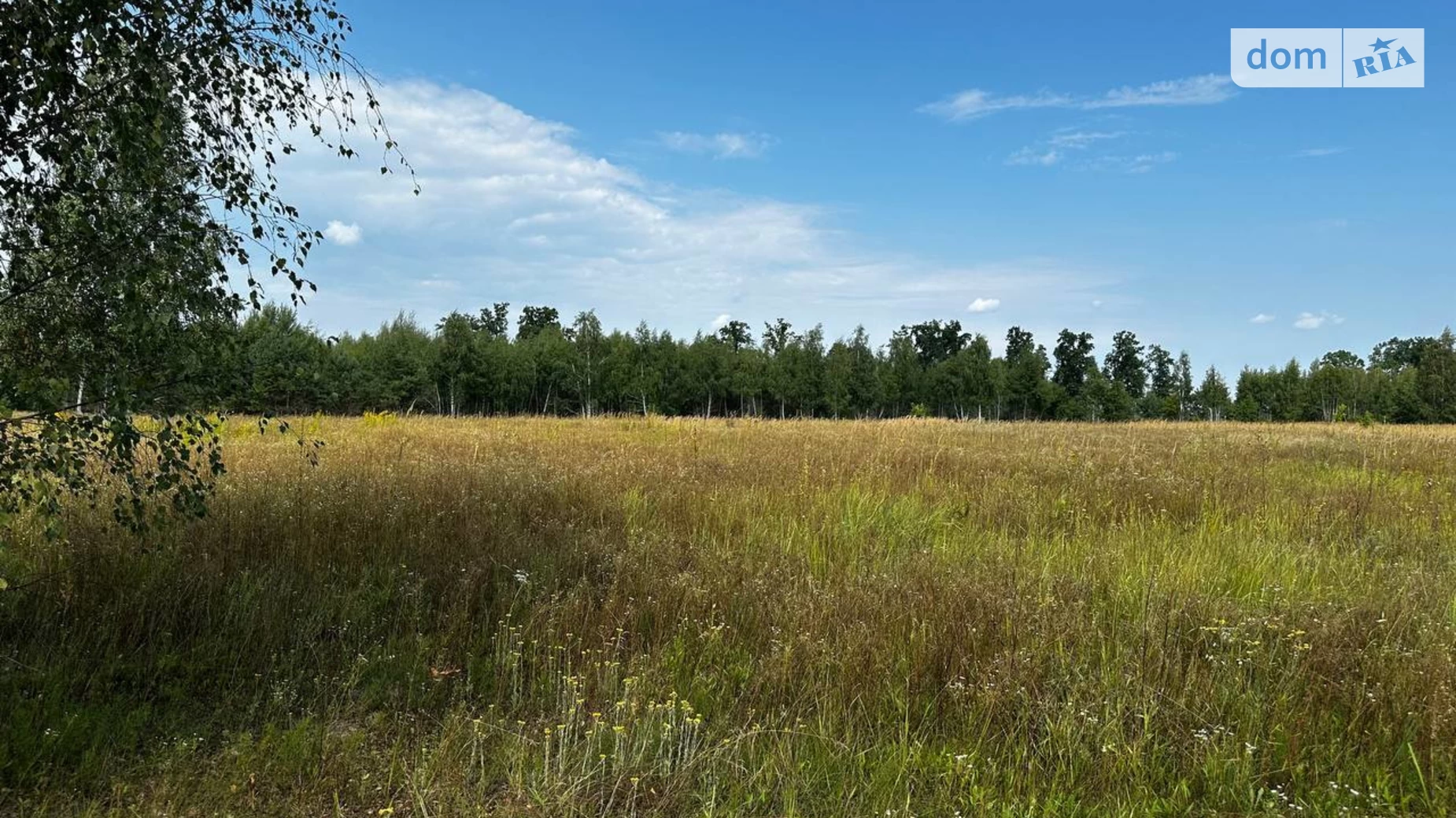 Михайловка-Рубежовка (Ирпень), цена: 25000 $ - фото 2