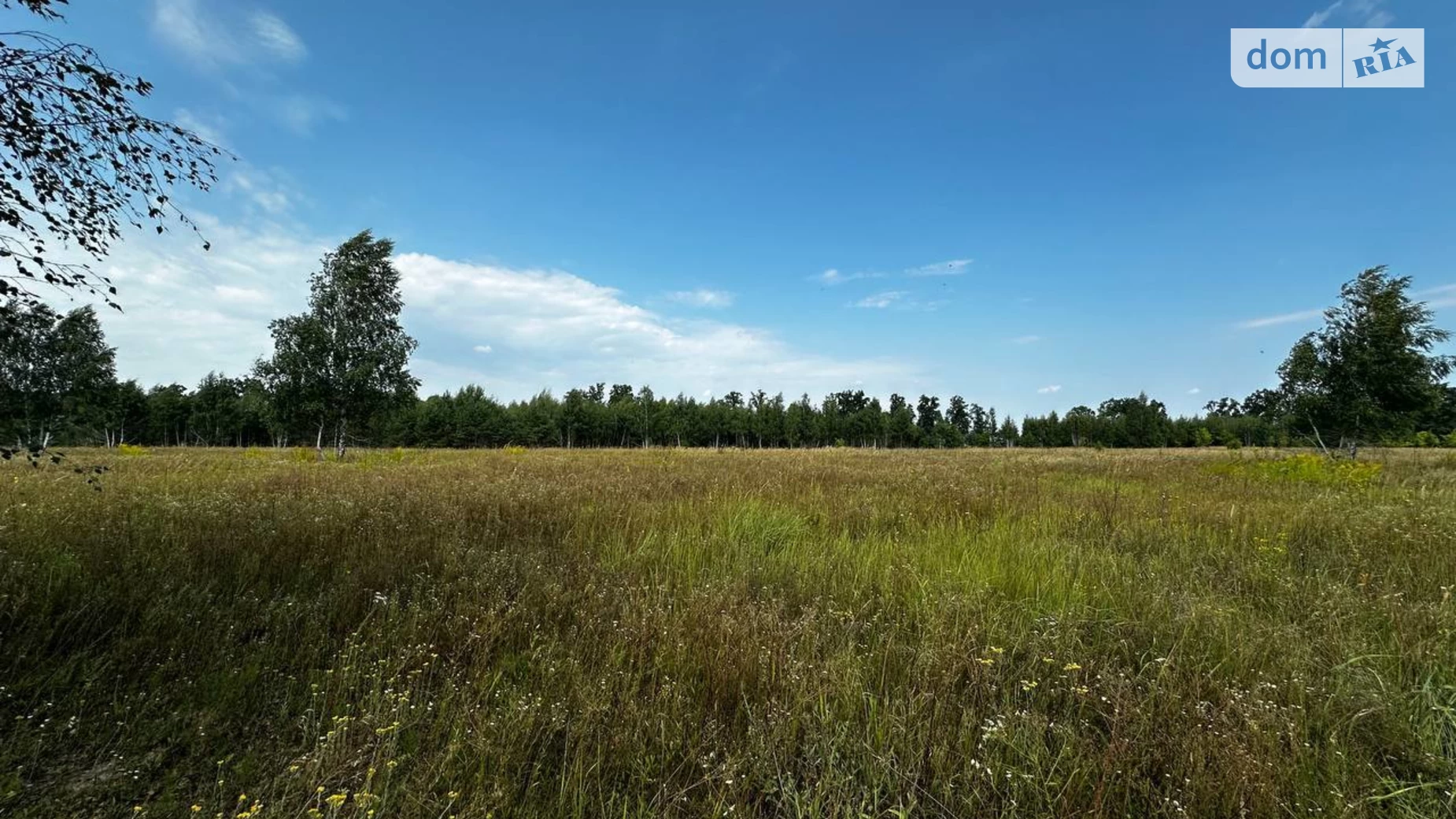 Михайловка-Рубежовка (Ирпень), цена: 25000 $ - фото 5