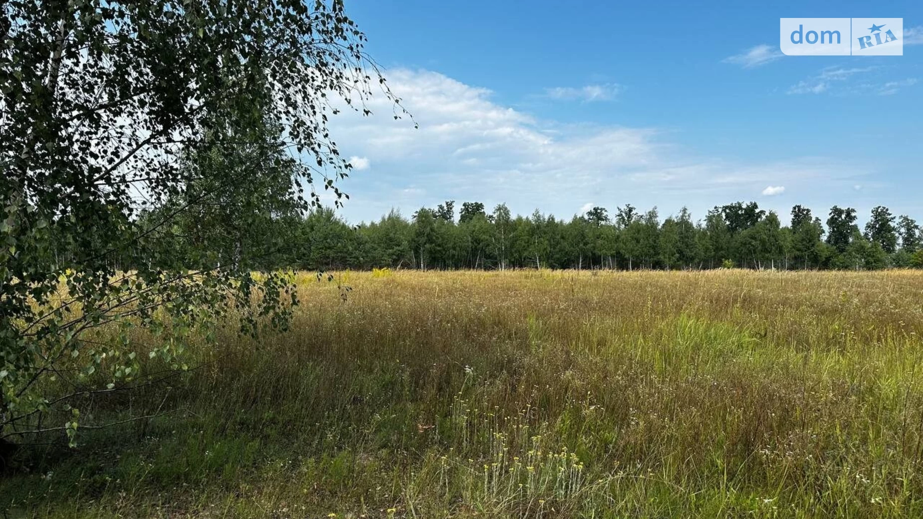 Михайловка-Рубежовка (Ирпень), цена: 25000 $ - фото 3