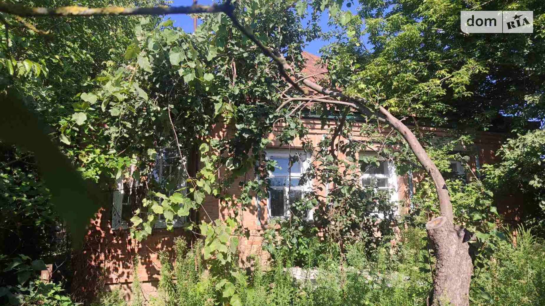 Продается одноэтажный дом 74.4 кв. м с подвалом, цена: 15000 $ - фото 3