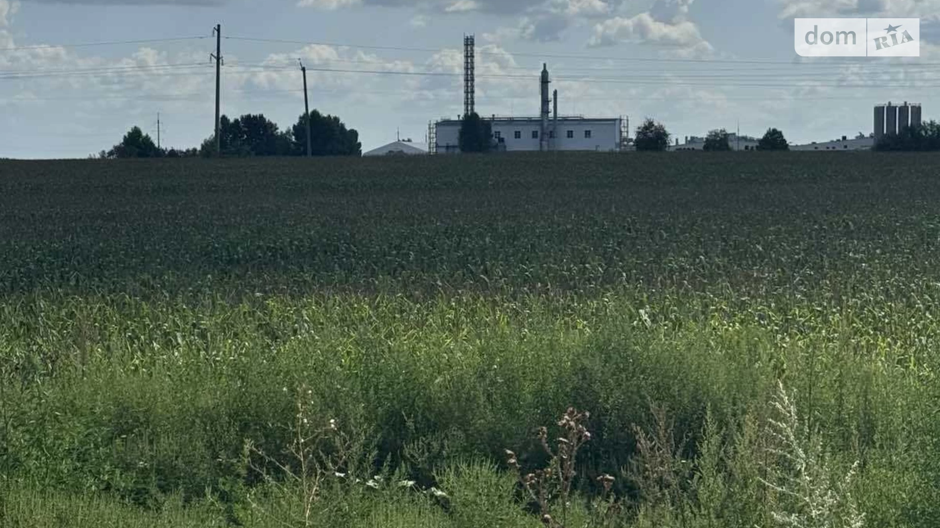 Продается земельный участок 300 соток в Киевской области, цена: 280000 $ - фото 4