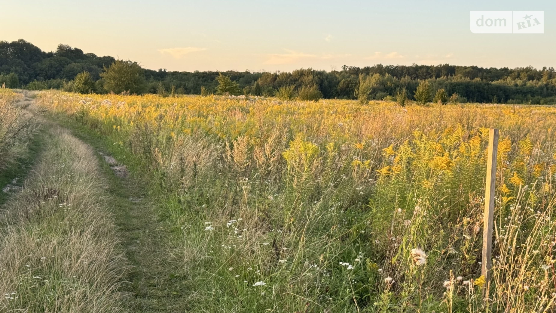 Продается земельный участок 20 соток в Винницкой области, цена: 32000 $ - фото 2