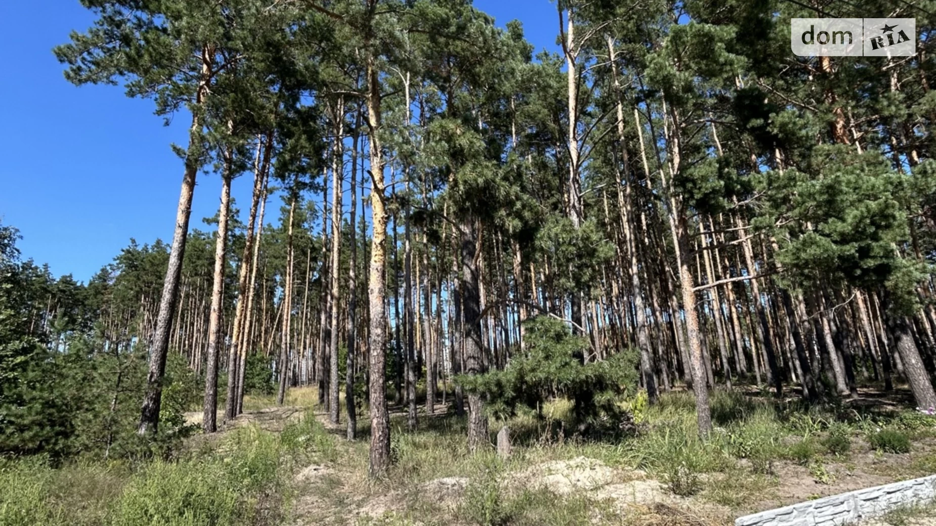 ул. Независимости(Свердлова) Ирпень, цена: 90000 $ - фото 4