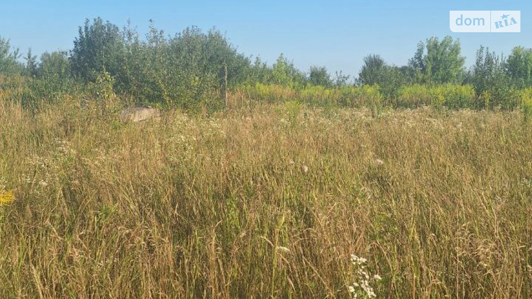 Продается земельный участок 8 соток в Ивано-Франковской области, цена: 12500 $ - фото 3