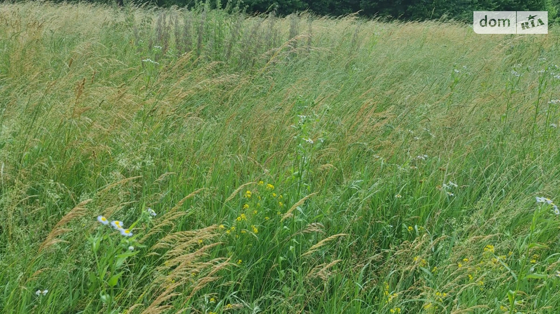 Продается земельный участок 12 соток в Закарпатской области, цена: 12000 $ - фото 2