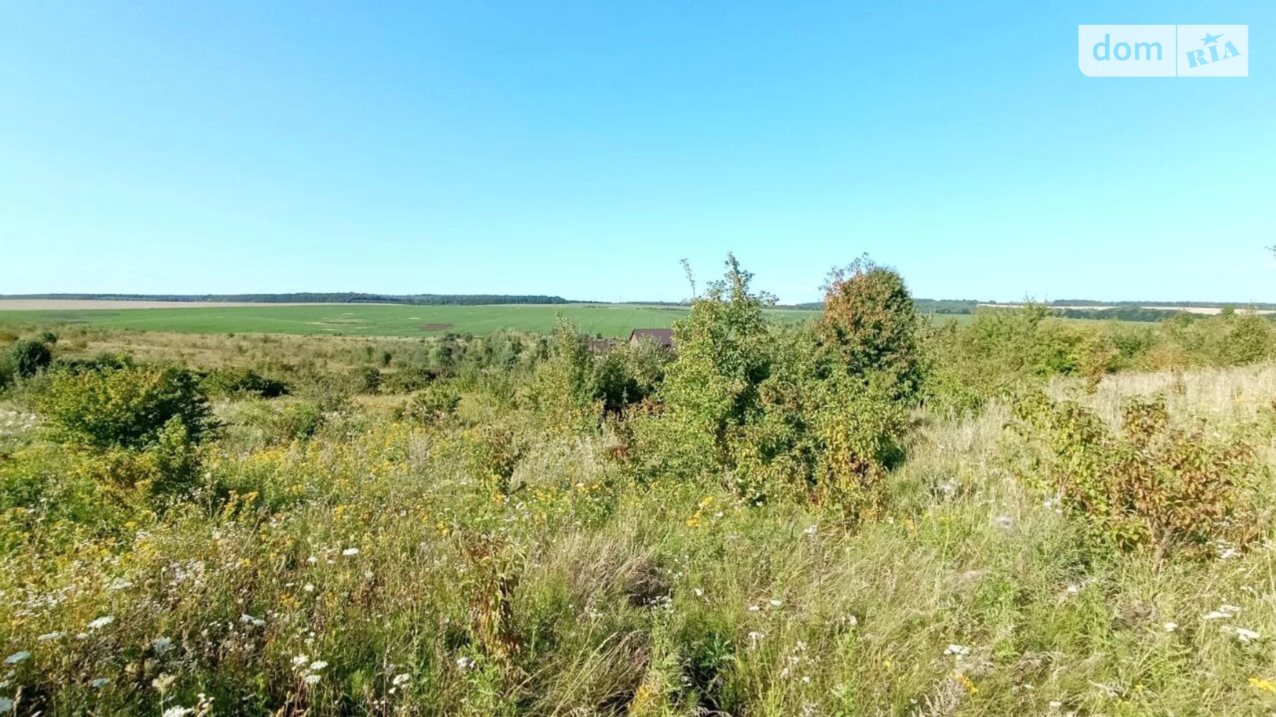 ул. Центральная Лесовые Гриновцы, цена: 5500 $ - фото 4