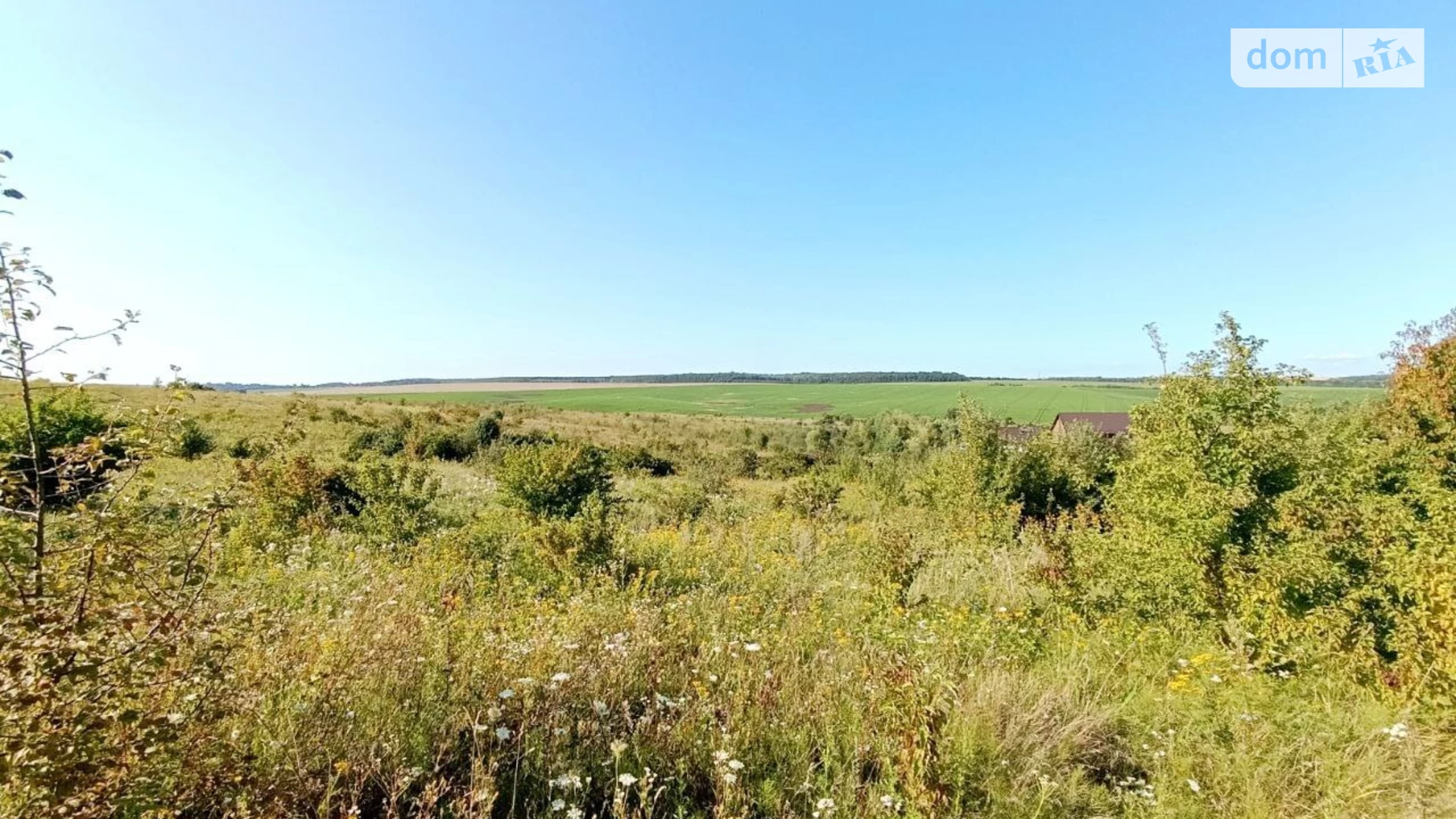 ул. Центральная Лесовые Гриновцы, цена: 5500 $ - фото 5