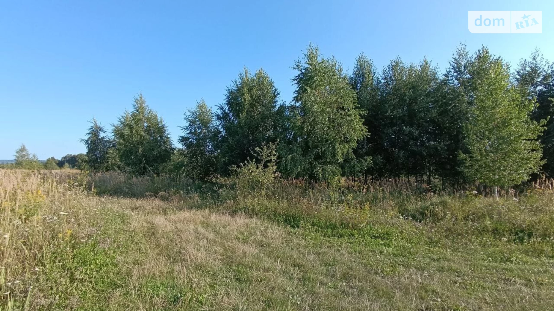 ул. Центральная Лесовые Гриновцы, цена: 8000 $ - фото 5