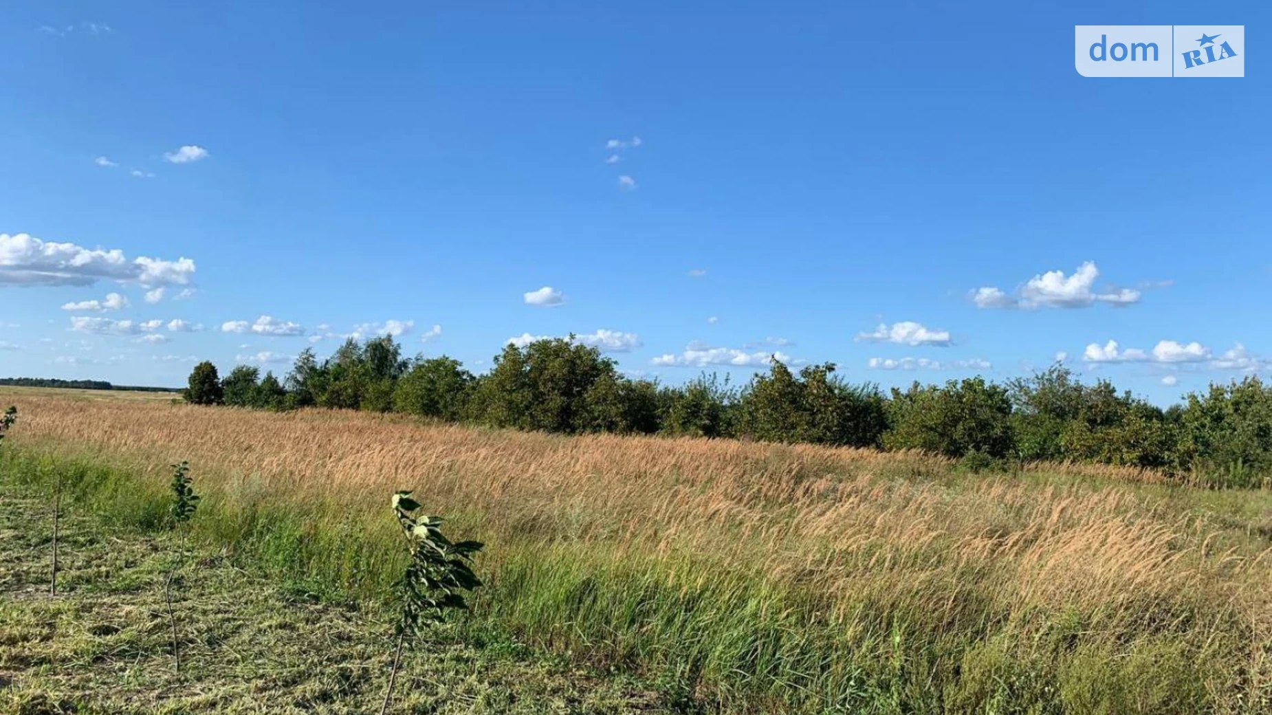 Продається земельна ділянка 20 соток у Київській області, цена: 16000 $ - фото 2