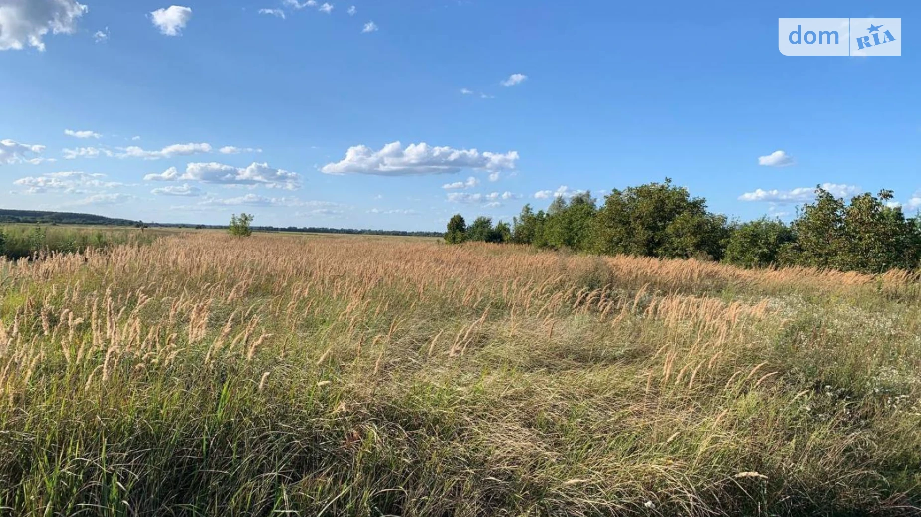 Продається земельна ділянка 20 соток у Київській області, цена: 16000 $ - фото 3