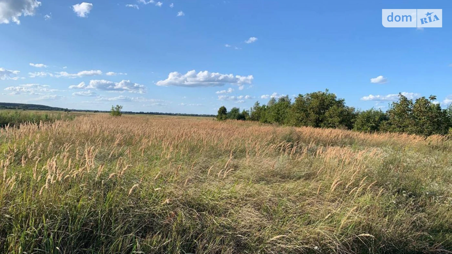 Продається земельна ділянка 20 соток у Київській області, цена: 16000 $ - фото 4