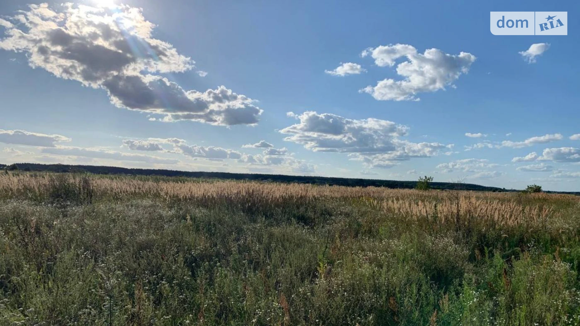 Продається земельна ділянка 20 соток у Київській області, цена: 16000 $ - фото 5