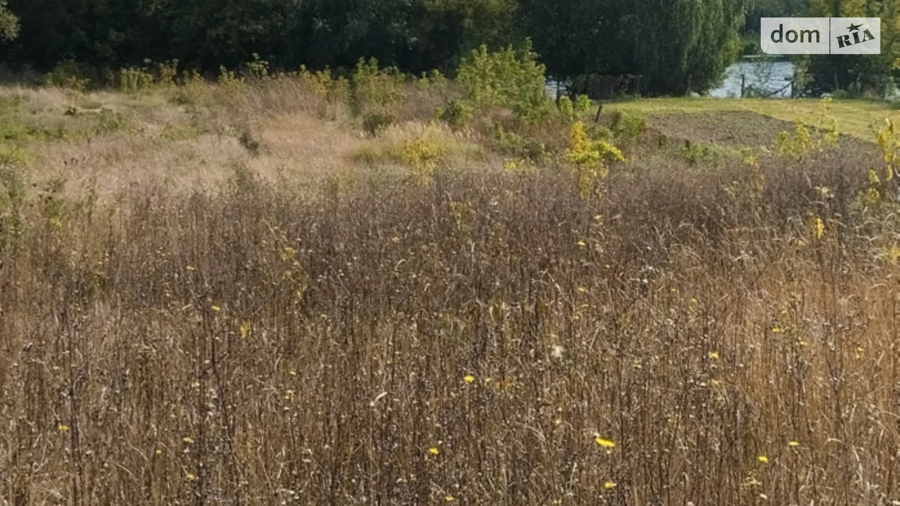 вулиця Центральна Селище (Литин), цена: 10000 $ - фото 3