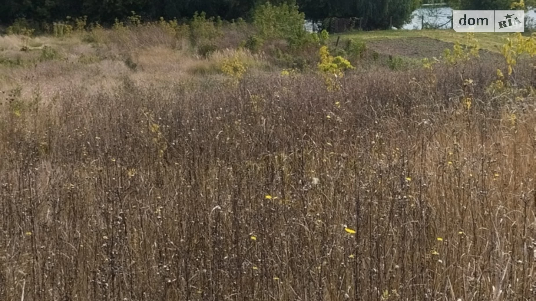 вулиця Центральна Селище (Литин), цена: 10000 $ - фото 5