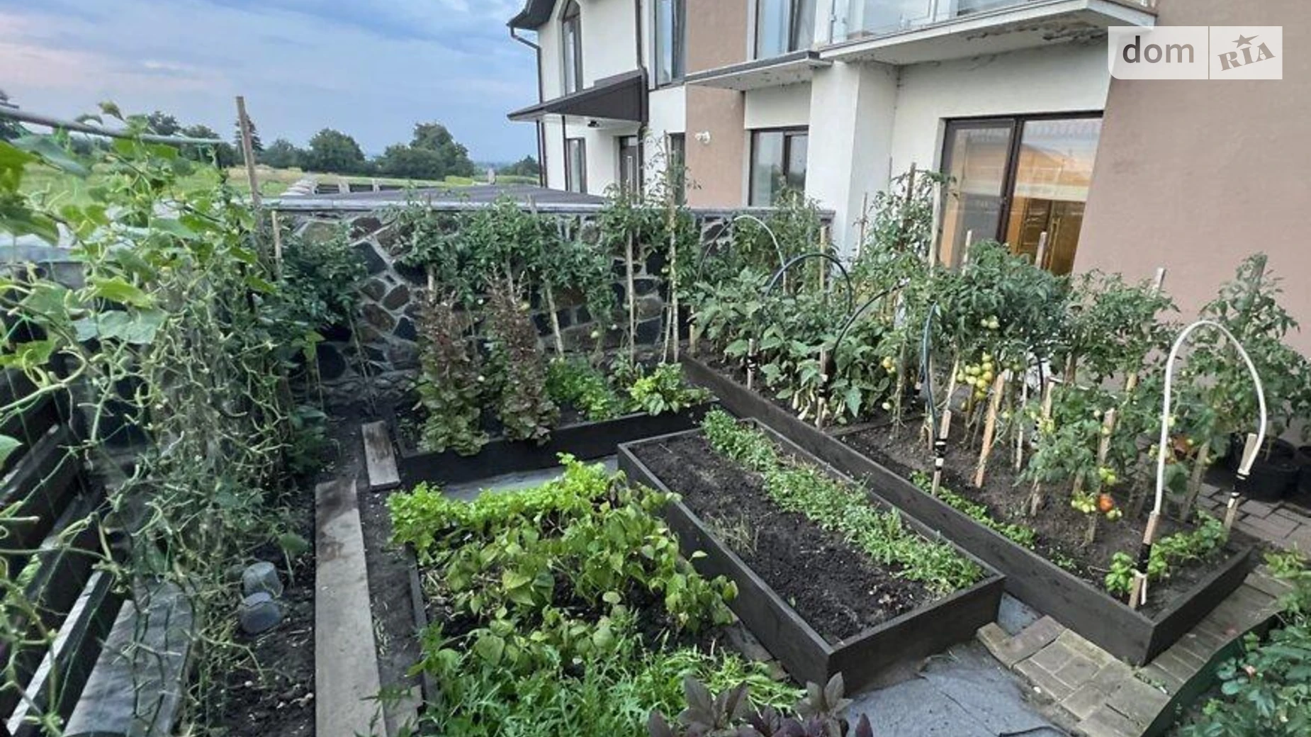 ул. Острожского Князя Центр Тернополь, цена: 2000 $ - фото 4