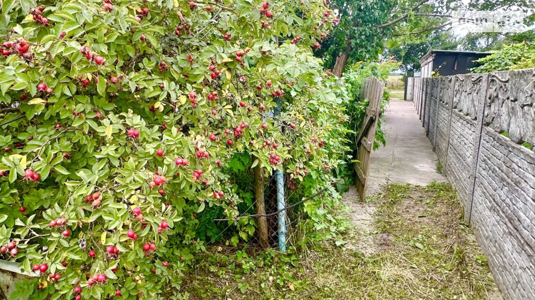 Продается одноэтажный дом 87 кв. м с гаражом, цена: 28000 $ - фото 5