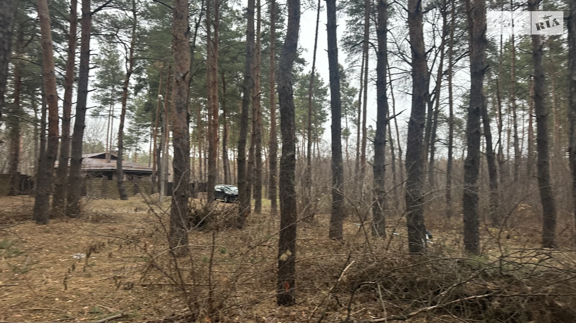 Продается земельный участок 25 соток в Днепропетровской области, цена: 37500 $ - фото 5
