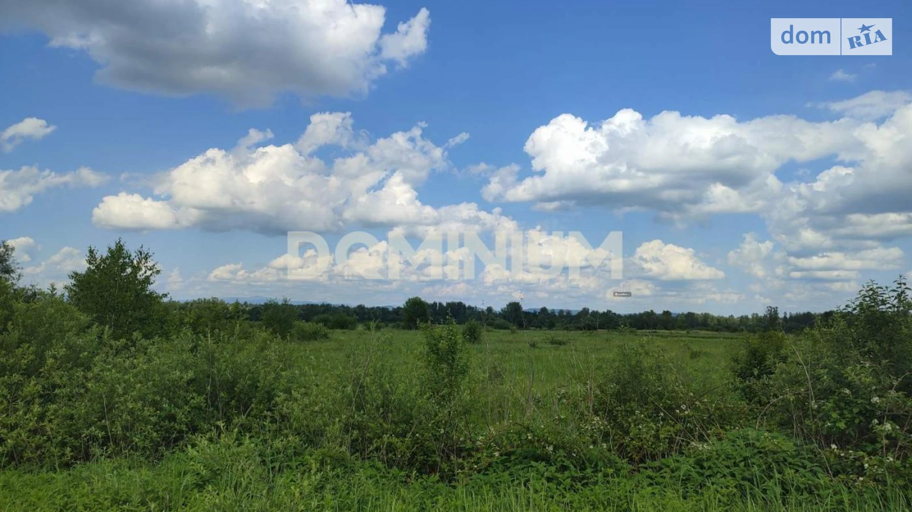 Шаянська Велятино, цена: 25500 $ - фото 4