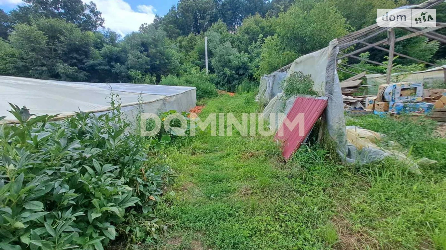 ул. Владыки Ивана Маргитича, 40 Боржавское, цена: 22000 € - фото 5