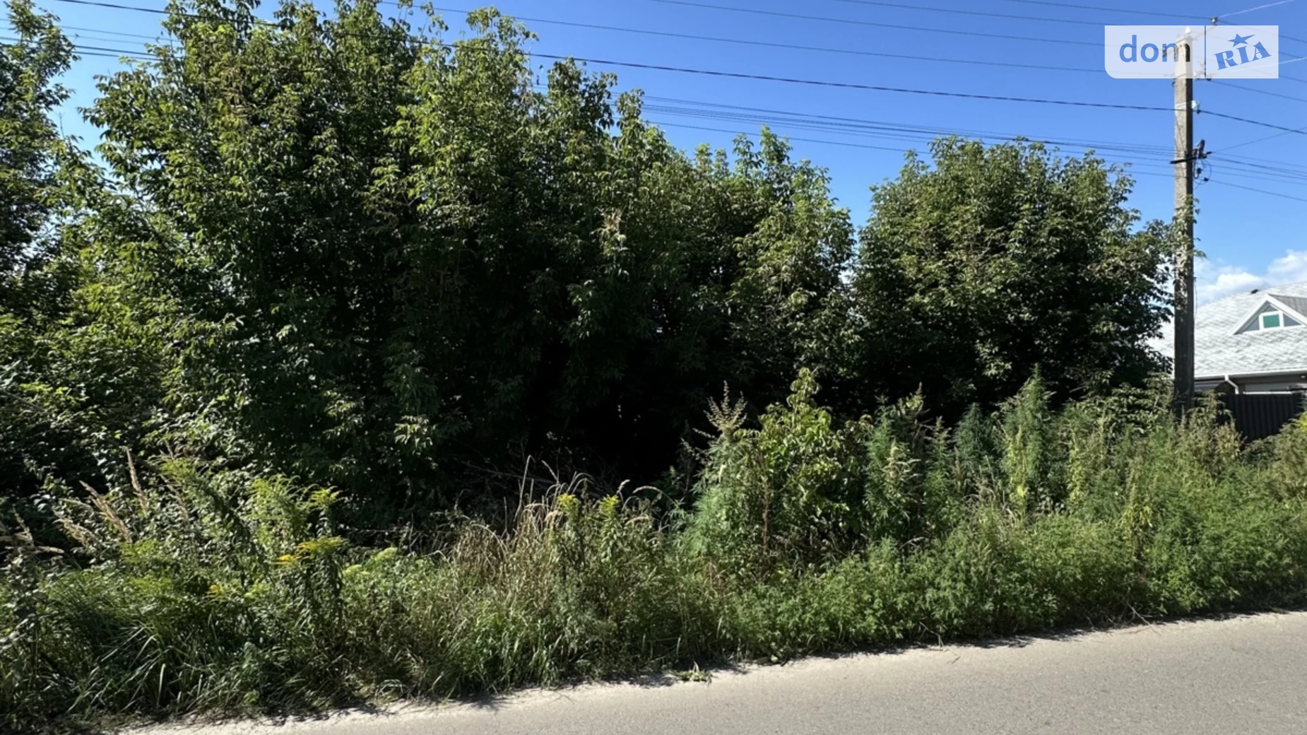 Продается земельный участок 25 соток в Киевской области, цена: 35000 $ - фото 2