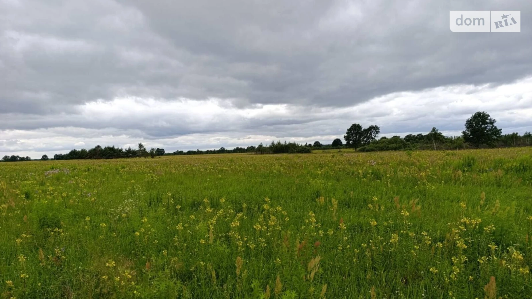 Сдается в аренду земельный участок 14.7047 соток в Ровенской области, цена: 21503 грн - фото 2