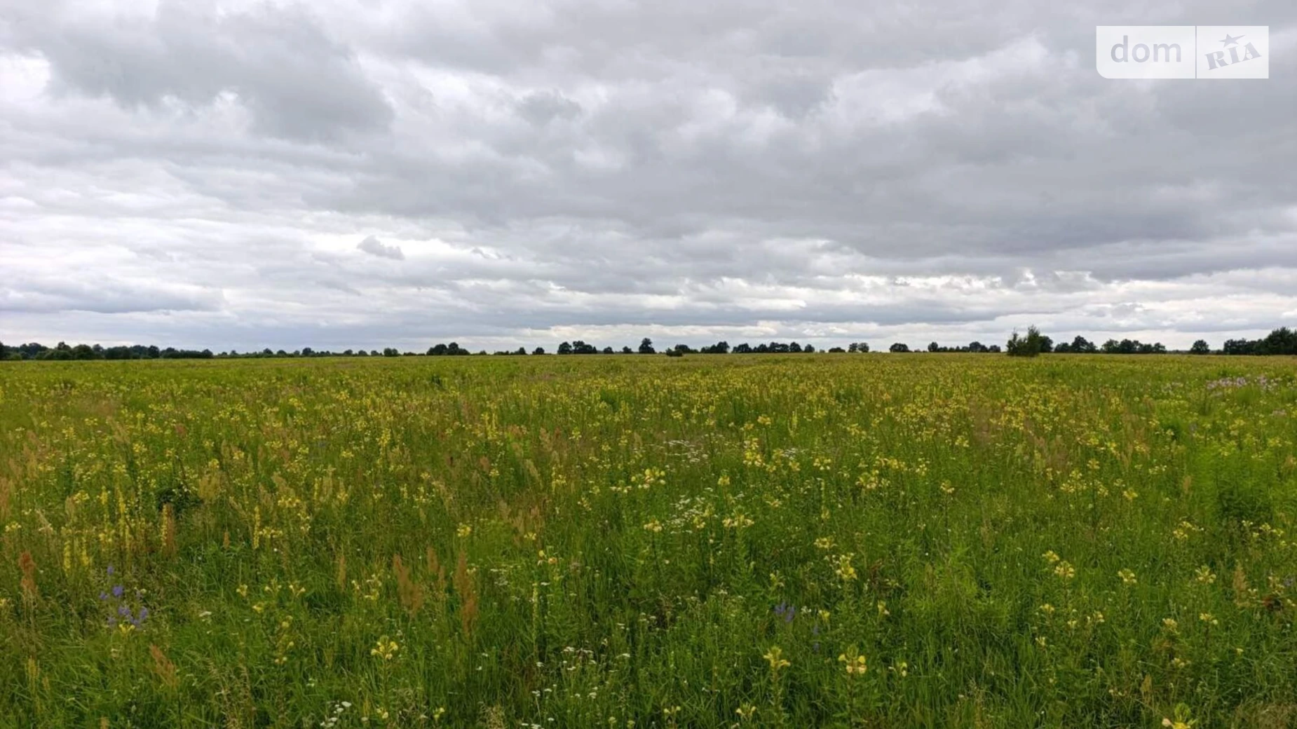 Сдается в аренду земельный участок 14.7047 соток в Ровенской области, цена: 21503 грн - фото 3