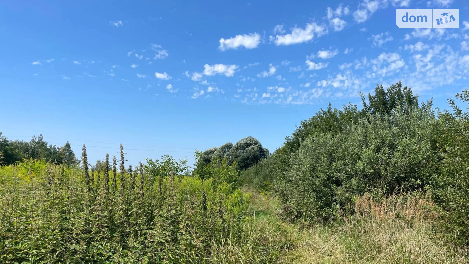 Продается земельный участок 9.64 соток в Львовской области, цена: 25000 $ - фото 3