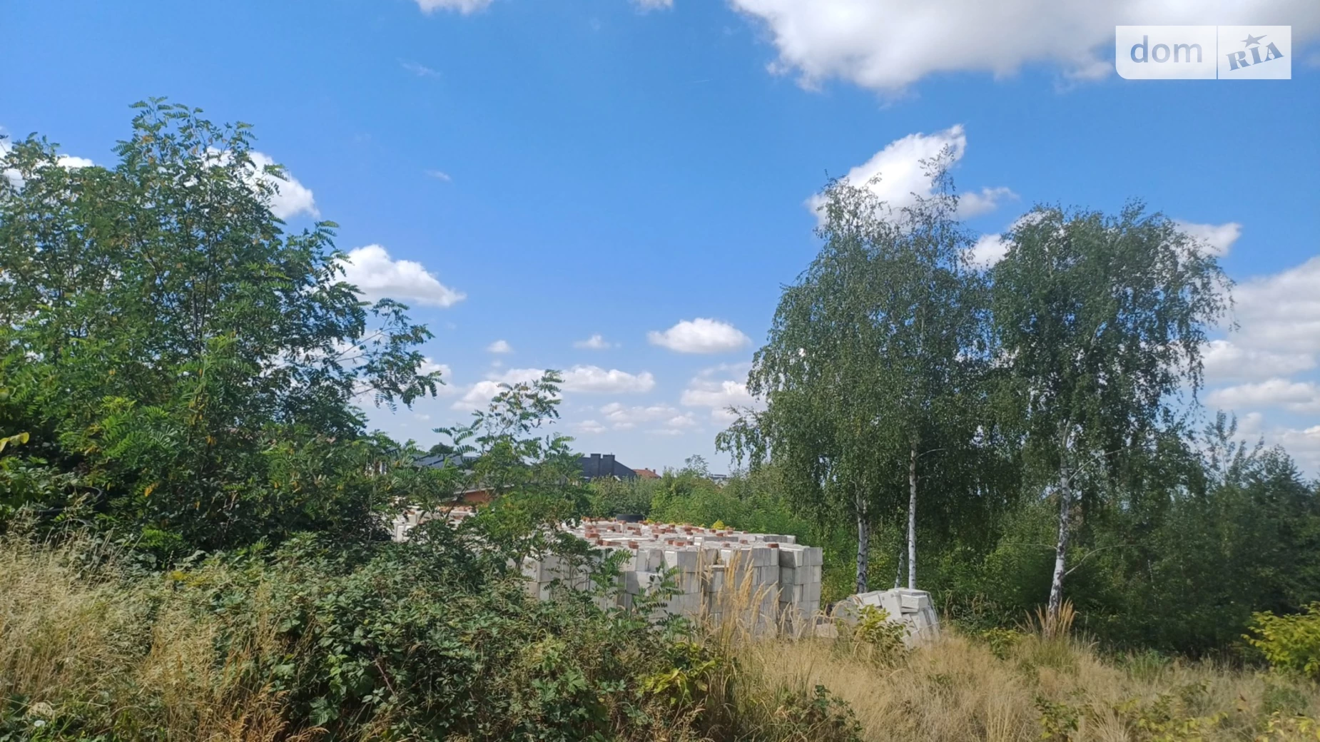 Продается земельный участок 25 соток в Закарпатской области, цена: 130000 $ - фото 3