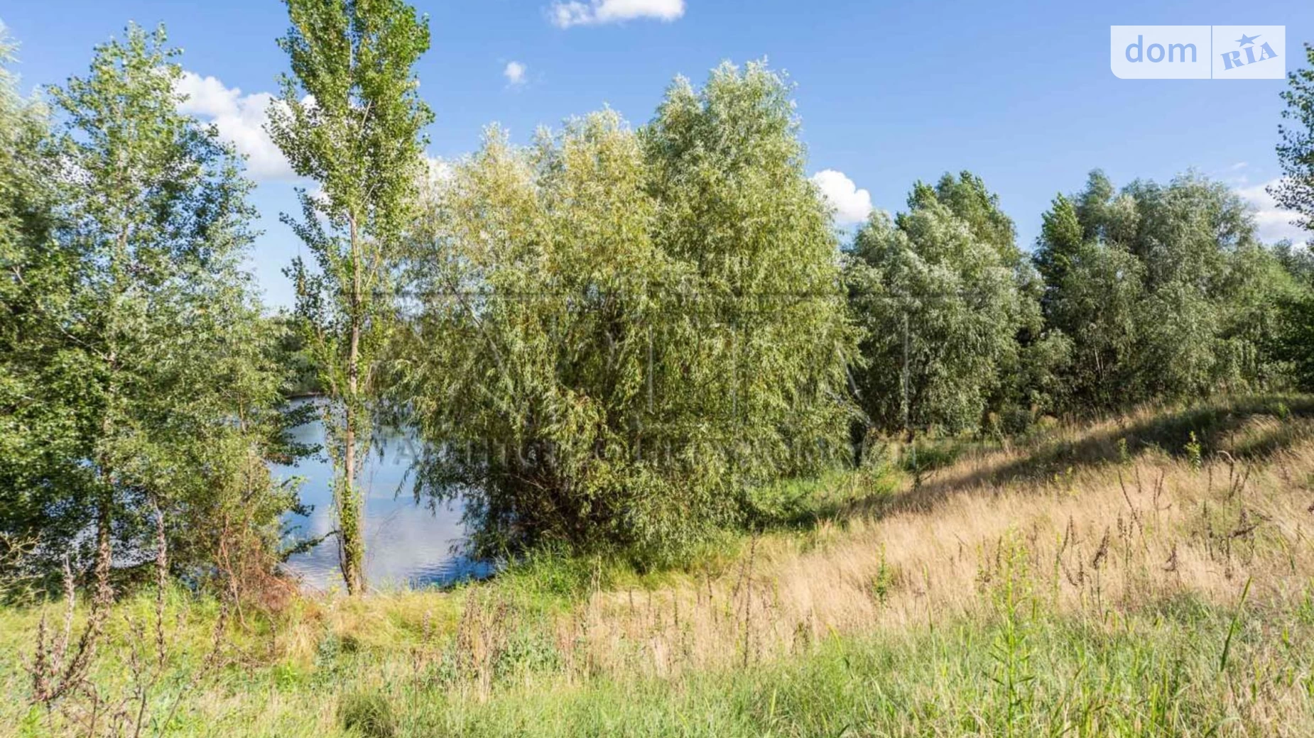 Новоселки (Вышгород), цена: 440000 $ - фото 2