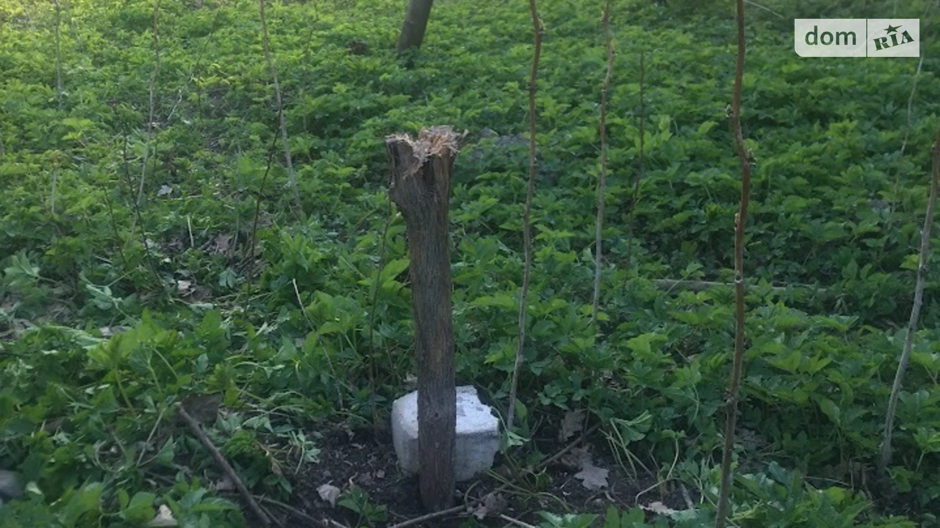 Продается земельный участок 6 соток в Львовской области, цена: 18000 $ - фото 2