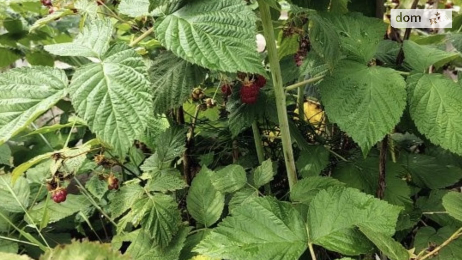 Продается одноэтажный дом 92 кв. м с подвалом, цена: 47000 $ - фото 5