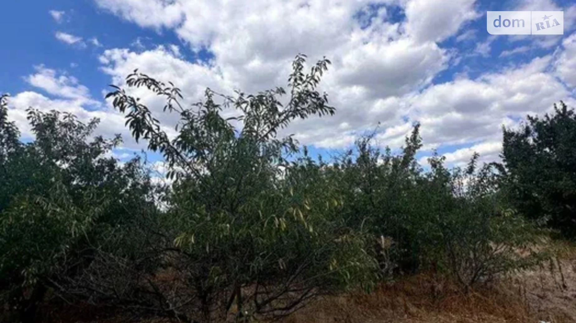 Продається одноповерховий будинок 44 кв. м з терасою, цена: 17000 $ - фото 3