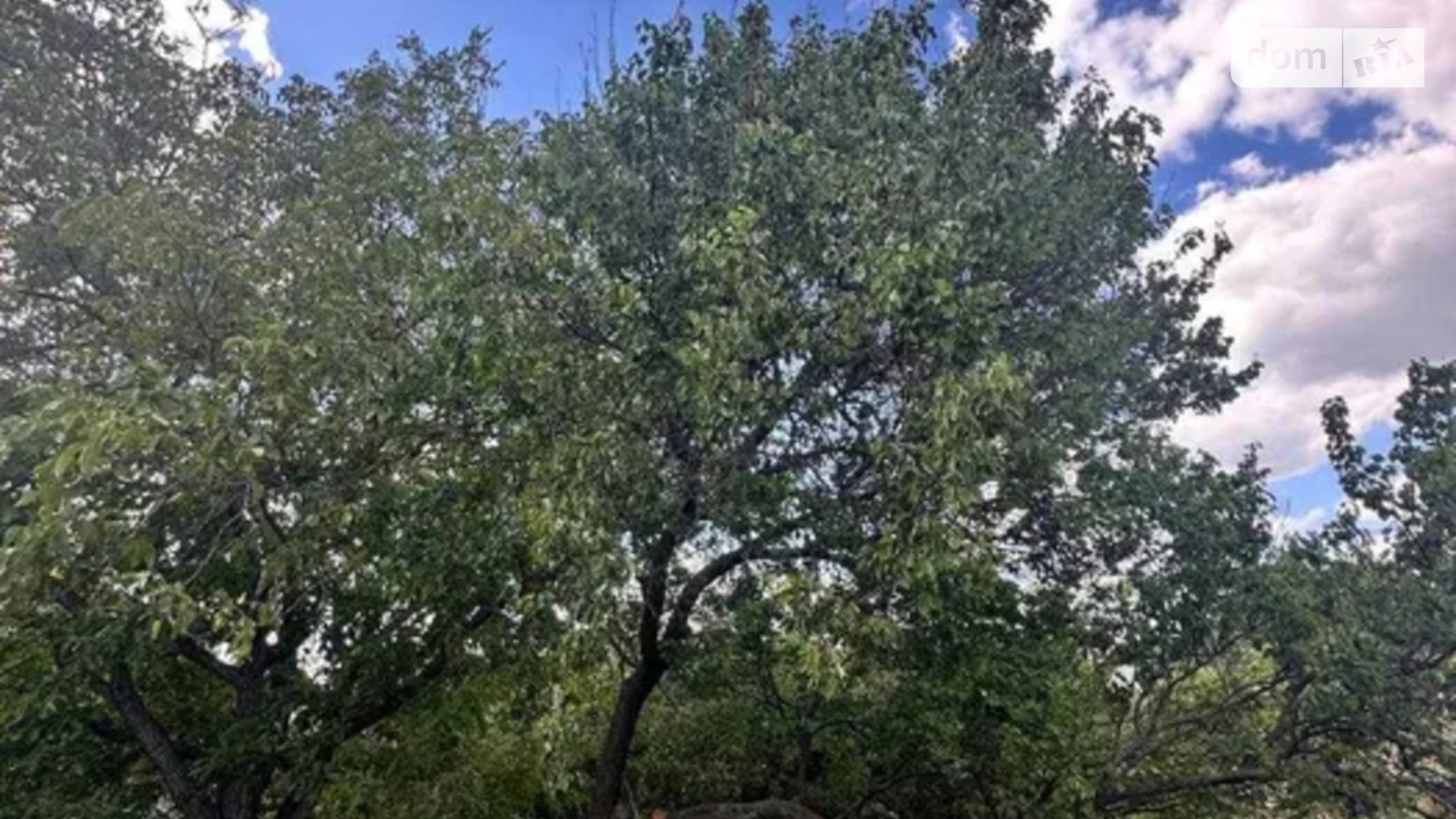 Продається одноповерховий будинок 44 кв. м з терасою, цена: 17000 $ - фото 4