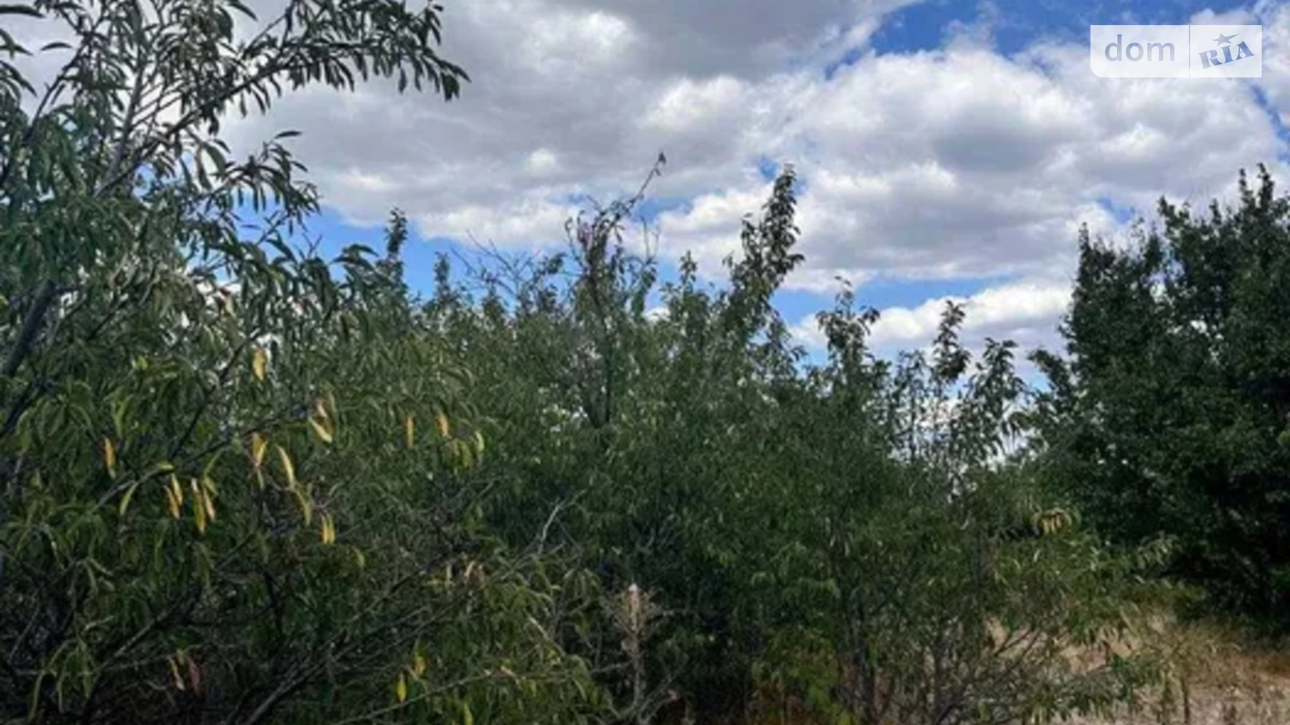 Продається одноповерховий будинок 44 кв. м з терасою, цена: 17000 $ - фото 2