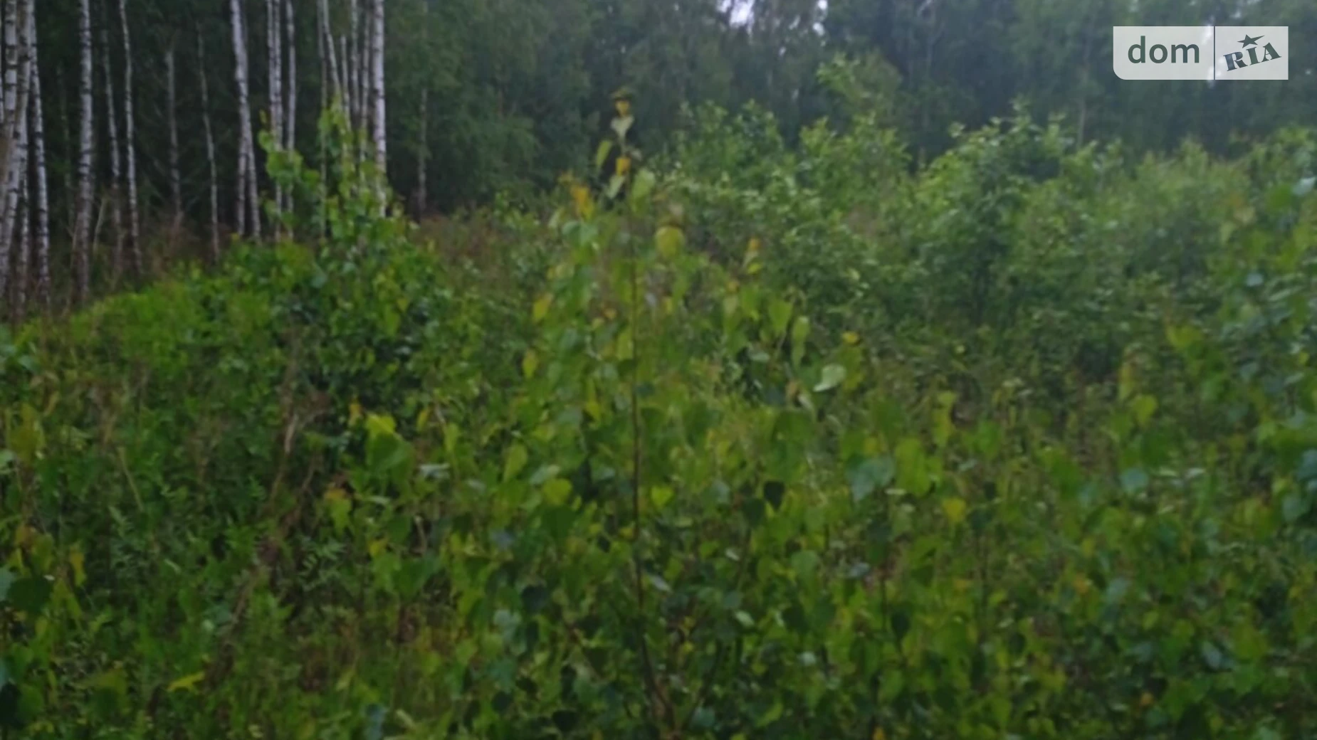 Сдается в аренду земельный участок 5.5813 соток в области, цена: 9386 грн - фото 2