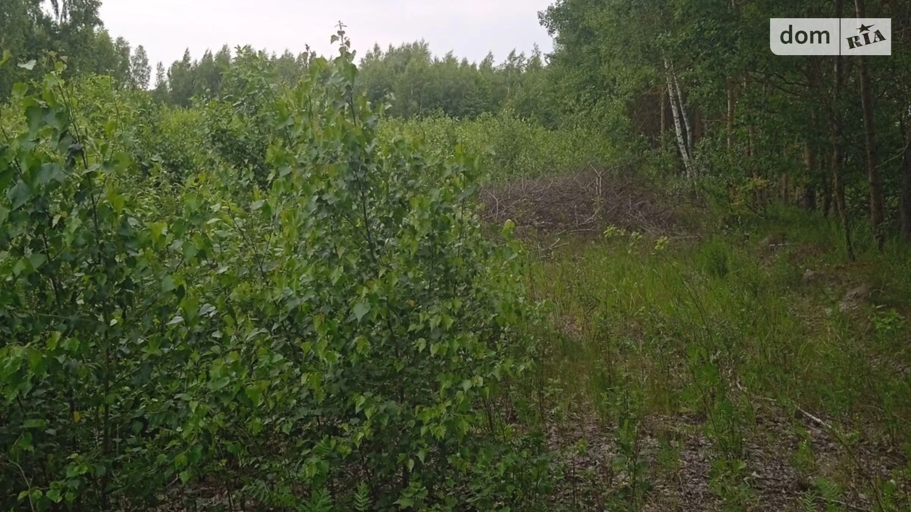 Сдается в аренду земельный участок 5.5813 соток в области, цена: 9386 грн - фото 3